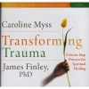 Transforming Trauma - Uncovering the Spiritual Dimension of Healing (CD, Boxed set, Abridged Ed) - Caroline M Myss Photo