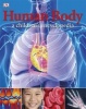 Human Body a Children's Encyclopedia (Hardcover) - Dk Photo