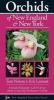 Orchids of New England & New York (Paperback) - Tom Nelson Photo