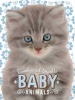 Touch and Sparkle Baby Animals (Board book) -  Photo