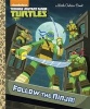 Follow the Ninja! (Teenage Mutant Ninja Turtles) (Hardcover) - Golden Books Photo