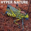 Hyper Nature (Hardcover) - Philippe Martin Photo