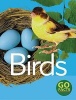 Birds (Paperback) - Paul McEvoy Photo