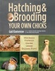 Hatching and Brooding Your Own Chicks - Chickens, Turkeys, Ducks, Geese, Guinea Fowl (Paperback) - Gail Damerow Photo