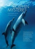 Dolphin Mysteries - Unlocking the Secrets of Communication (Paperback) - Kathleen M Dudzinski Photo