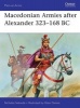 Macedonian Armies After Alexander 323-168 BC (Paperback) - Nicholas Sekunda Photo