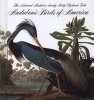 Audubon's Birds of America - The National Audubon Society Baby Elephant Folio (Hardcover, Rev. ed) - Roger Tory Peterson Photo