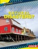 What Protects Us During Natural Disasters? (Hardcover) - Lisa Owings Photo