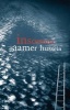 Insomnia (Paperback) - Aamer Hussein Photo