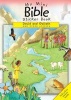 David and Goliath and Other Stories - Mini Bible Sticker Book David and Goliath (Paperback) - Sally Ann Wright Photo