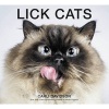 Lick Cats (Hardcover) - Carli Davidson Photo