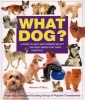 What Dog? - A Guide to Help New Owners Select the Right Breed for Their Lifestyle (Paperback, 2nd Revised edition) - Amanda ONeill Photo