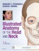 Illustrated Anatomy of the Head and Neck (Paperback, 5th Revised edition) - Margaret J Fehrenbach Photo