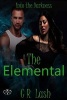 The Elemental (Paperback) - C R Lash Photo