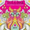 The  Coloring Calendar 2017 (Calendar) - Tula Pink Photo