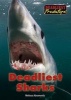 Deadliest Sharks (Hardcover) - Melissa Abramovitz Photo