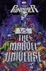 Punisher vs. the Marvel Universe (Paperback) - Garth Ennis Photo