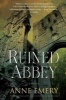 Ruined Abbey - A Collins-Burke Mystery (Paperback) - Anne Emery Photo