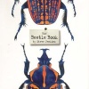 The Beetle Book (Hardcover) - Steve Jenkins Photo