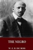 The Negro (Paperback) - W E B Du Bois Photo