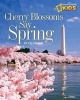 Cherry Blossoms Say Spring (Paperback) - Jill Esbaum Photo