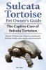 Sulcata Tortoise Pet Owners Guide. the Captive Care of Sulcata Tortoises. Sulcata Tortoise Care, Behavior, Enclosures, Feeding, Health, Costs, Myths and Interaction. (Paperback) - Ben Team Photo