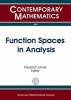 Function Spaces in Analysis (Paperback) - Krzysztof Jarosz Photo