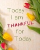 Today I Am Thankful for Today Daily Planner, 131 Pages (7.5 X 9.25) Inches - 2017 Planner, Journal, Organizer (Paperback) - Centurion Sketchbook Photo