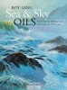 Sea & Sky in Oils - Painting the Atmosphere and Majesty of the Sea (Paperback, New Ed) - Roy Lang Photo