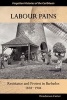 Labour Pains - Resistance and Protest in Barbados, 1838-1904 (Paperback) - Carter Henderson Photo