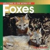 Welcome to the World of Foxes (Paperback, New) - Diane Swanson Photo