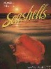 Florida's Fabulous Seashells: And Other Seashore Life (Paperback, 2nd ed) - Winston Williams Photo