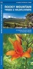 Rocky Mountain Trees & Wildflowers (Paperback) - James Kavanagh Photo