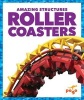 Roller Coasters (Hardcover) - Rebecca Pettiford Photo