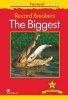 Macmillan Factual Readers: Record Breakers - the Biggest (Paperback) - Claire Llewellyn Photo