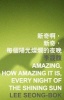 Amazing, How Amazing It Is, Every Night of the Shining Sun (Paperback) - Lee Lee Photo