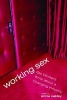 Working Sex - Sex Workers Write About a Changing Industry (Paperback) - Annie Oakley Photo