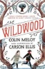 Wildwood, Book I - The Wildwood Chronicles (Paperback, Main) - Colin Meloy Photo