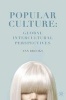 Popular Culture: Global Intercultural Perspectives (Paperback) - Ann Brooks Photo