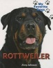 Rottweiler (Paperback) - Jinny Johnson Photo