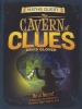 The Maths Quest: The Cavern of Clues (Paperback) - David Glover Photo