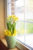 Spring Daffodils on the Windowsill Journal - 150 Page Lined Notebook/Diary (Paperback) - Cs Creations Photo