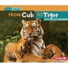 From Cub to Tiger (Paperback) - Jennifer Boothroyd Photo