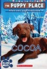 Cocoa (Paperback) - Ellen Miles Photo