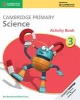 Cambridge Primary Science Stage 3 Activity Book (Paperback) - Jon Board Photo