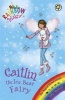 Caitlin the Ice Bear Fairy, Book 7 - The Magical Animal Fairies (Paperback) - Daisy Meadows Photo