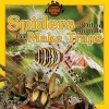 Spiders and Other Animals That Make Traps (Paperback) - Vic Kovacs Photo