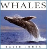 Whales (Hardcover, Revised) - David Jones Photo