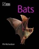 Bats (Paperback, Revised and reformatted ed) - Phil Richardson Photo