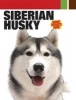 Siberian Husky (Hardcover) - Dog Fancy Magazine Photo